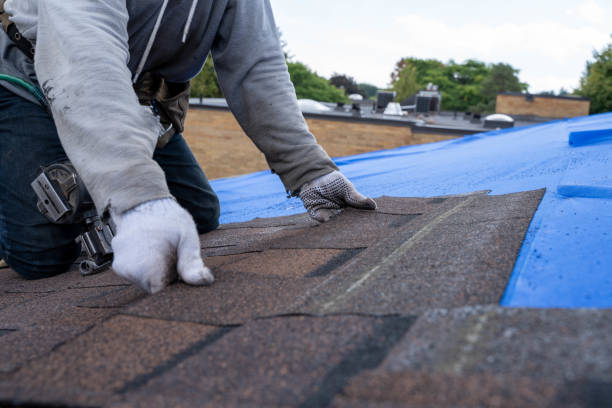 Best Gutter Installation and Roofing  in Linn, MO